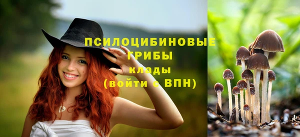 индика Белоозёрский