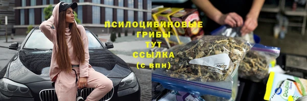 наркотики Белокуриха